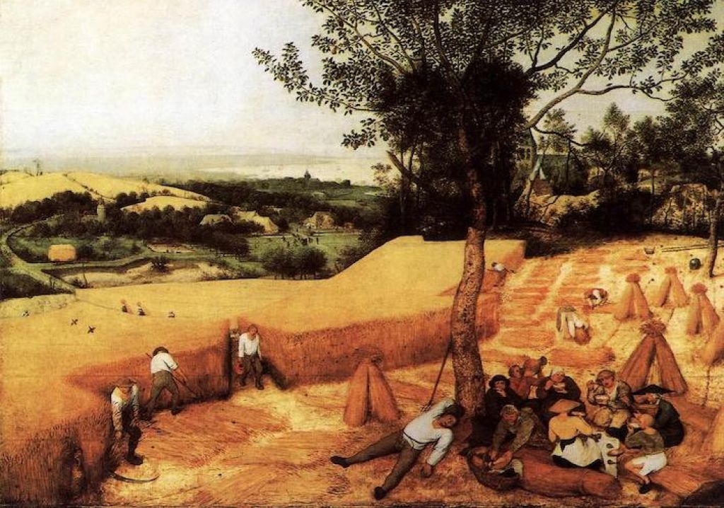 Pieter Bruegel il Vecchio, Mietitura